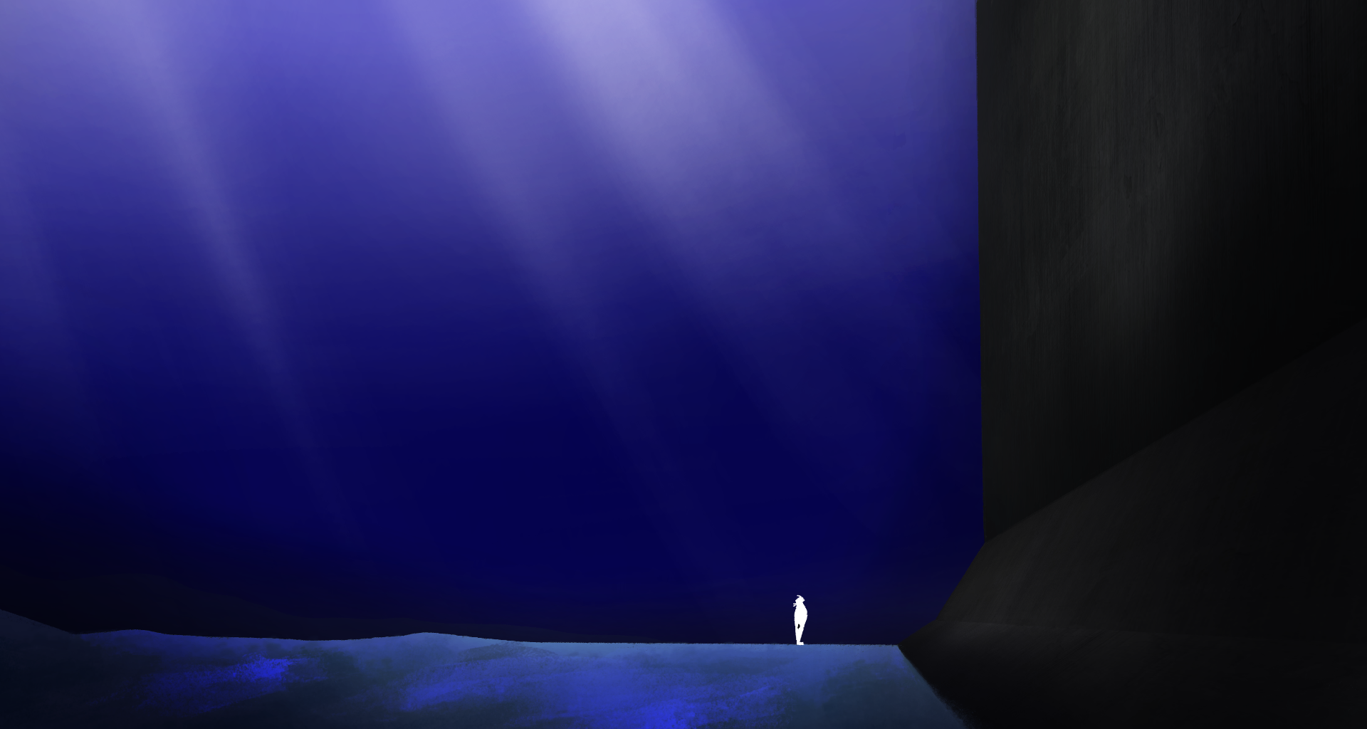 Image 1 Cut